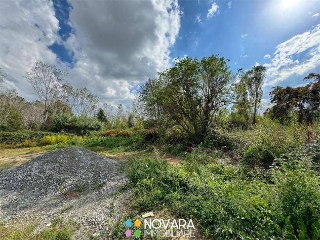 V001910 - TERRENO EDIFICABILE, SAN PAOLO - Foto 4