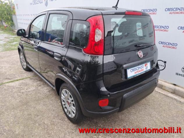 FIAT Panda 1.0 FireFly S&S Hybrid Pandina - AZIENDALE rif. 23794277 - Foto 7