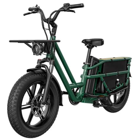 Fiido T2 Cargo E-Bike 250W 48V - Foto 3