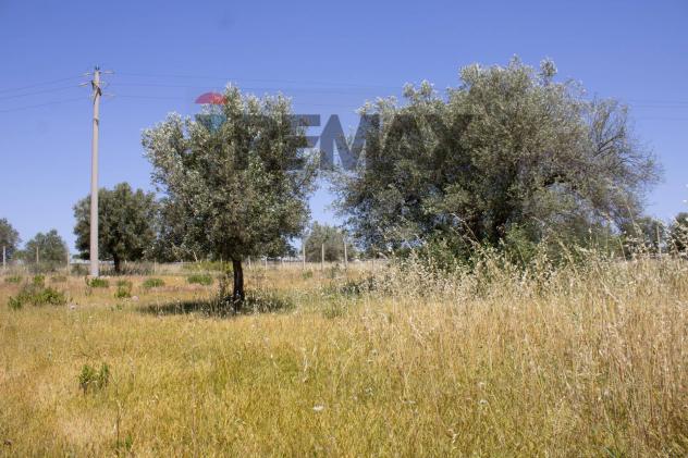 Villa singola in vendita a Noto - Foto 11