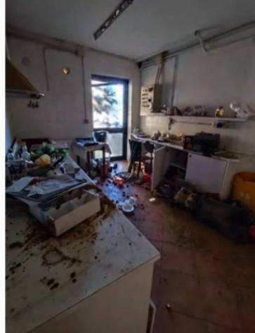 Immobile in asta di 818 m² in vendita a Taglio di Po - Foto 9
