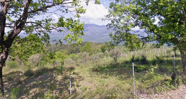 TERRENO AGRICOLO IN CILENTO - Foto 2
