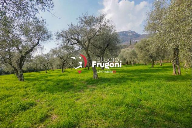 vf911 - TENUTA CON 2 ETTARI E ANNESSI AGRICOLI - Foto 5
