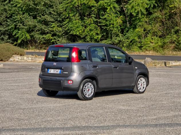 Fiat Panda 1.0 FireFly S&S Hybrid CV-69 E6 Manuale NEO 2022 - Foto 6