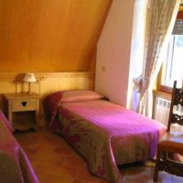 Gli Scoiattoli - Foto 3