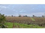 CESENA - CALABRINA - TERRENO AGRICOLO a seminativo di 40000 mq.