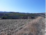 Vendita Terreno agricolo da 20000 mq  in CONTRADA POLERCIA