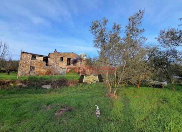 Bagnoregio (Civita di Bagnoregio) - Vendesi casale da ristrutturare con terreno in un bel contesto di campagna. - Foto 2