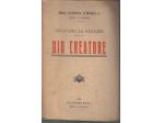 R45 - DIO CREATORE