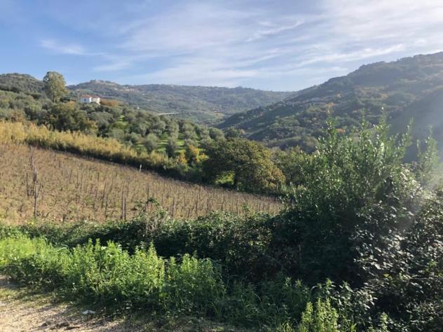 Agricolo in Destre - Foto 11