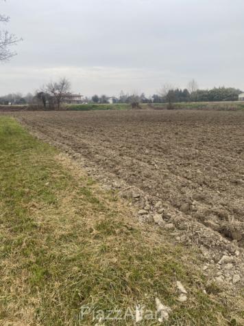 Terreno a Sant'Angelo di Piove di Sacco - Rif. SPDS16 - Foto 4