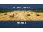 Immobile in asta di 19145 m² in vendita a Villastellone