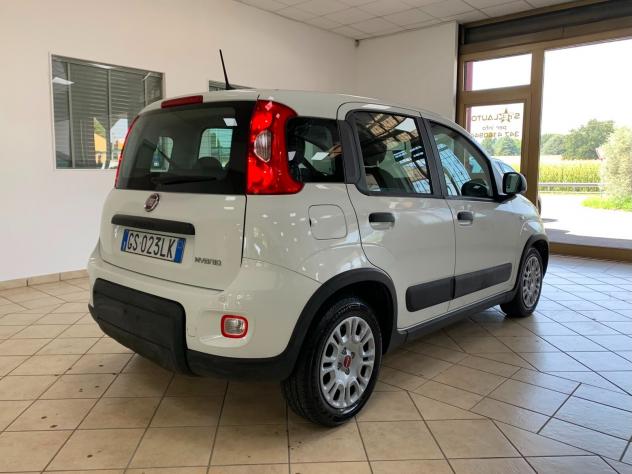 Fiat Panda 1.0 FireFly S Hybrid *IVA DEDUCIBILE* - Foto 5