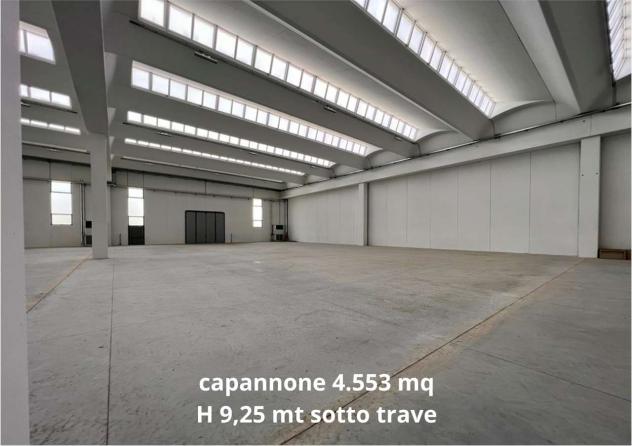 2430 - Capannone in Affitto 5.150 mq a Fonte (TV) Rif. 2430 - Foto 8