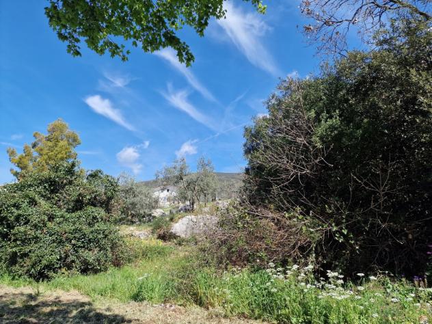 Terreno edificabile in vendita a Lugnano in Teverina - Foto 9