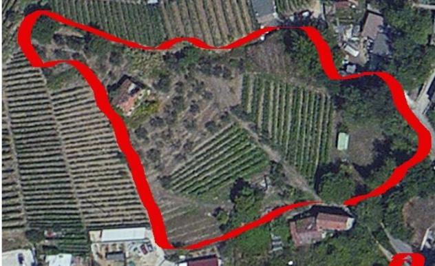 Terreno edif. residenziale in vendita a Massa 5300 mq Rif: 1372104