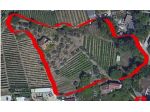 Terreno edif. residenziale in vendita a Massa 5300 mq  Rif: 1372104