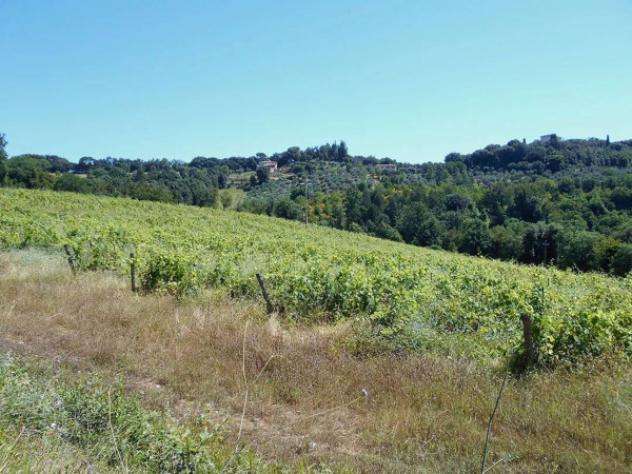 Immobile in asta di 357673 m² in vendita a Siena - Foto 2