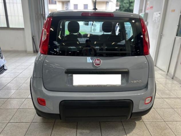 FIAT Panda 1.0 FireFly S&S Hybrid rif. 23920458 - Foto 5