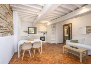 Appartamento in affitto a Vicopisano 70 mq Rif: 1435883
