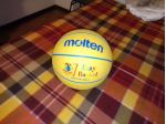 MOLTEN EASY BASKET