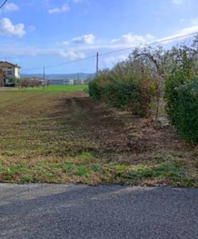 Immobile in asta di 2045 m² in vendita a Cartoceto - Foto 7