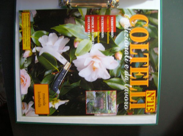 Coltelli tradizionali e da esposizione - Foto 4