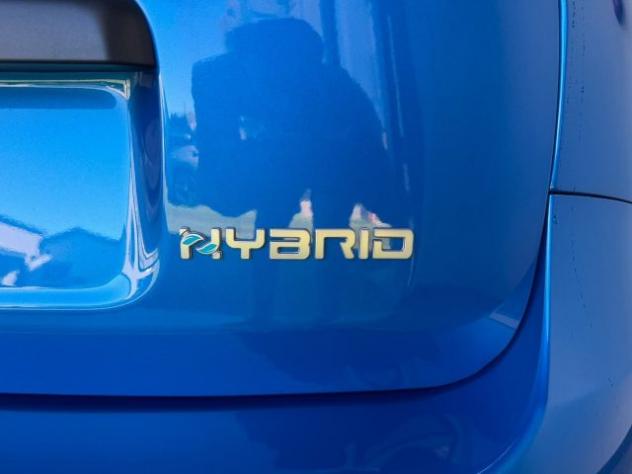 FIAT Pandina Pandina Cross 1.0 firefly hybrid s&s 65cv rif. 24148026 - Foto 6