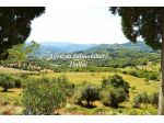 Vicchio - Porzione di colonica con giardino, annesso e posti auto
