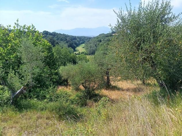 Terreno agricolo in vendita a Treggiaia - Pontedera 100000 mq Rif: 938474 - Foto 6