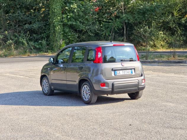 Fiat Panda 1.0 FireFly S&S Hybrid CV-69 E6 Manuale NEO 2022 - Foto 4