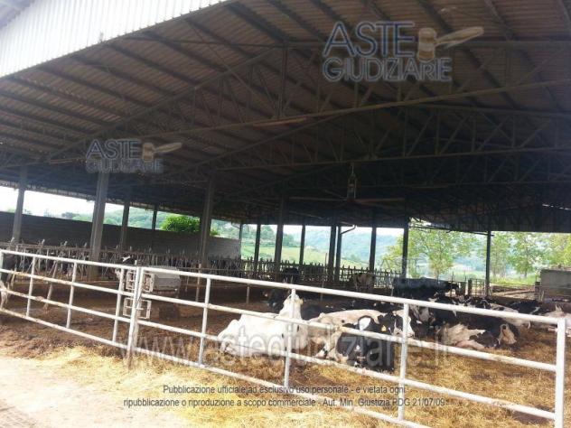 IMMOBILI-ALTRA CATEGORIA-Via Consolare Latina, 68 - Foto 7