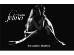Massaggi - benessere Pescara - Studio FELINA Tel:3311958888