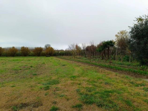 Immobile in asta di 8489 m² in vendita a Marcallo con Casone - Foto 8