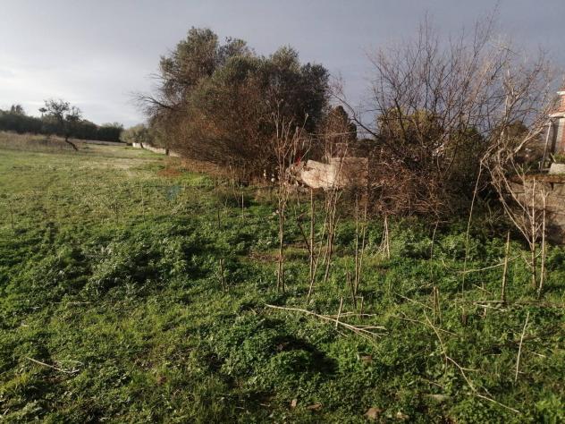 Terreno Industriale in vendita a Motta Sant'Anastasia - Foto 4