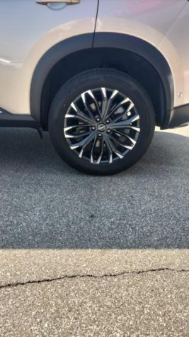 NISSAN X-Trail e-Power 2WD 5 posti Tekna rif. 24041229 - Foto 9