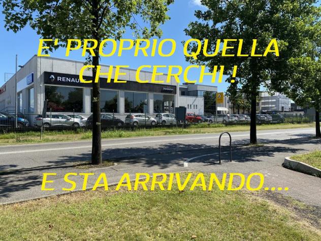 Cirelli Cirelli 3 303 - GOLD - 1.5 170cv GPL - Foto 3