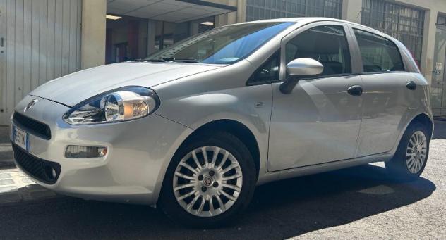 FIAT Punto 4ª serie Punto 1.2 8V 5 porte Street