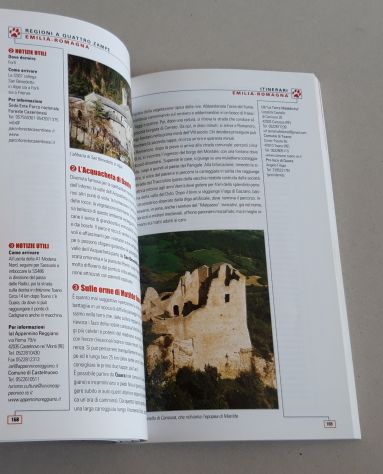 Viaggiare con cane e gatto - Foto 9