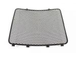 MV AGUSTA BRUTALE 1090 RR 800098716 GRIGLIA RADIATORE 09 - 11 RADIATOR GRID