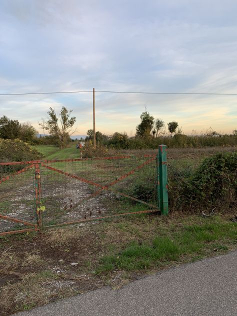 vendesi terreno agricolo - Foto 4