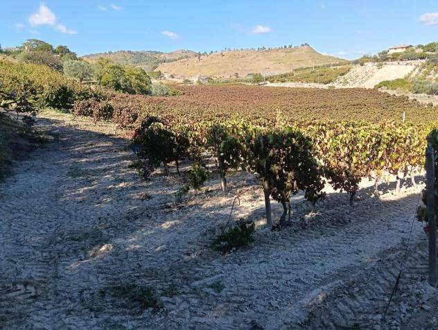 Terreno in vendita a Caltagirone - Foto 6