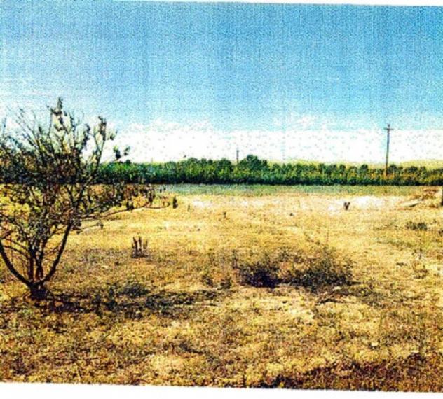 Immobile in asta di 17952 m² in vendita a Policoro - Foto 2