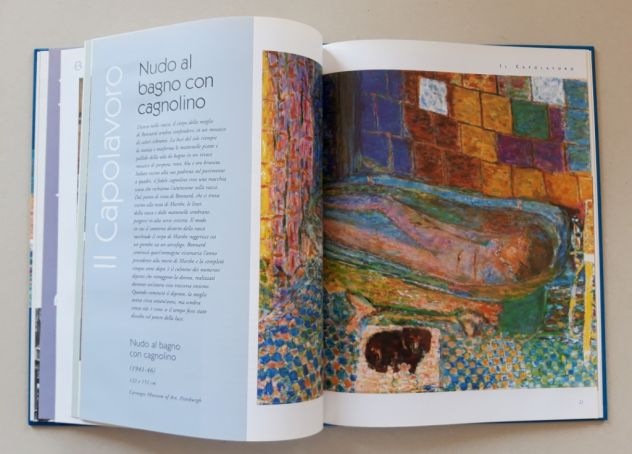 Pierre Bonnard - Foto 7