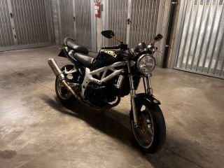 Suzuki SV650 - 1999