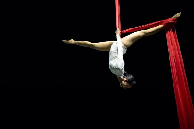 SPETTACOLI DI DANZA AEREA CERCHIO AEREO E POLE DANCE 3478497587 - Foto 4