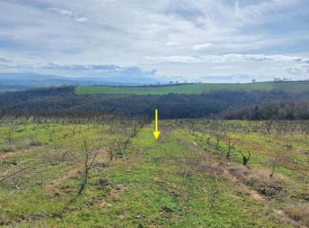 Immobile in asta di 43400 m² in vendita a Altomonte - Foto 6