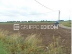 Terreno in vendita a San Mauro Pascoli - Rif. 3551916