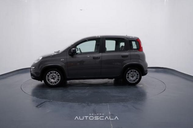 FIAT New Panda 1.0 FireFly City Life S&S Hybrid rif. 22918132 - Foto 3