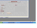 SOFTWARE GESTIONALE BIKESALONE E OFFICINA SU PEN DRIVE O PER EMAIL